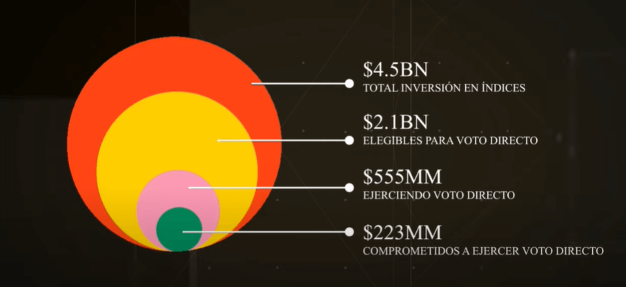 voto directo blackrock